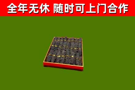 罗湖回收海参